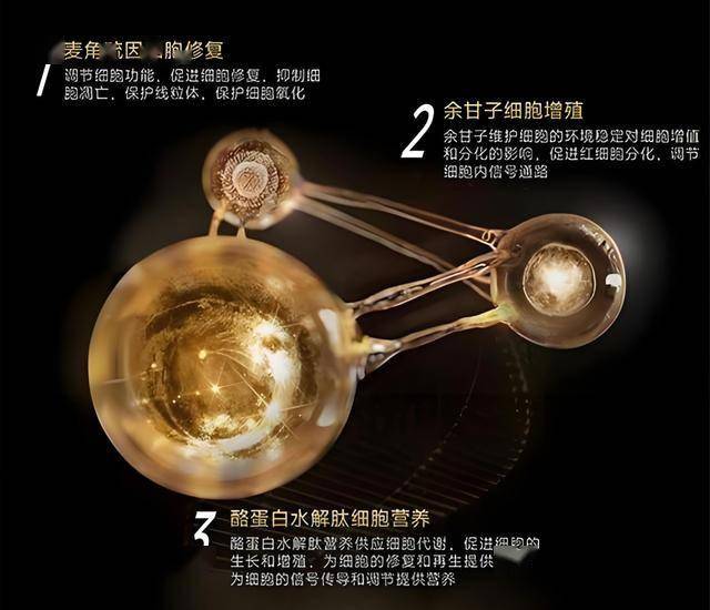 2天！黔西南公安交管部门查处各类出行违法行为1989起